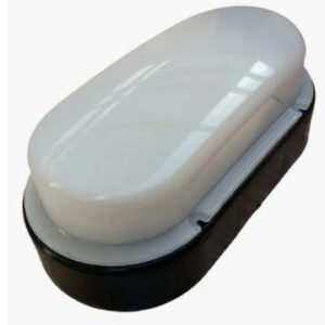 Tortuga Negra Con Aro